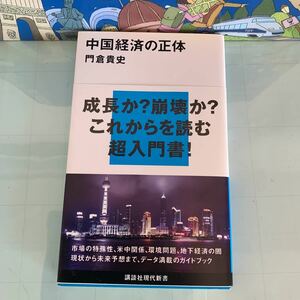 中国経済の正体 (講談社現代新書) 新書 2010/4/20　門倉 貴史 (著)