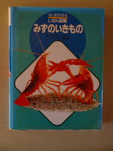 ふしぎがわかるしぜん図鑑　みずのいきもの　1999年4月10日第20刷発行　全１１６ページ　フレーベル館発行