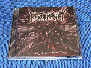 ●デスメタル INFECTED MALIGNITY/The Malignity Born From Despair