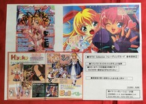 ぴヨナ=ピコナ トレーディングカード プロモーション資料 非売品 当時モノ 希少　A7047_画像1