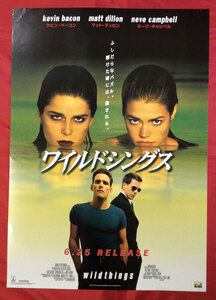 B2サイズポスター ワイルドシングス DVD発売告知用 非売品 当時モノ 希少　B234