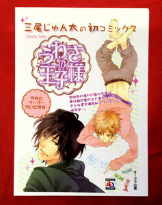 うわさの王子様 三尾じゅん太 店頭告知用POPカード 非売品 当時モノ 希少　A2017