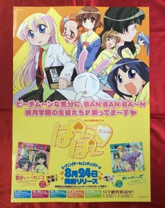 B2サイズポスター ぱにぽにだっしゅ 大田和寛 CD発売告知用 非売品 当時モノ 希少　B592