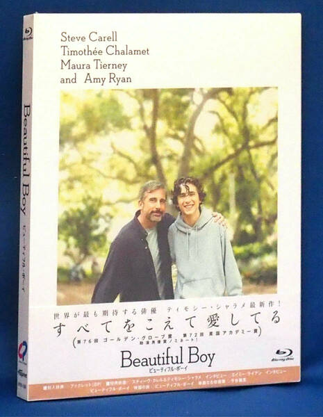 Blu-ray Disc ビューティフル・ボーイ BEAUTIFUL BOY 出演：ティモシー・シャラメ 未使用未開封品