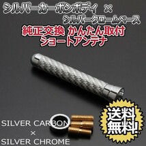 本物カーボン ショートアンテナ プジョー 207 A7### シルバーカーボン/シルバーメッキ 固定タイプ リアルカーボン 郵便 送料無料_画像1