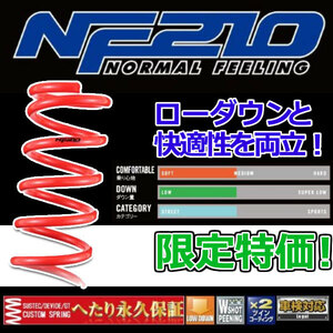 タナベ NF210 1台セット ポルテ NCP141 2012.7.1～2015.7.1 NSP140NK メーカー正規品