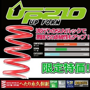 タナベ UP210 リフトアップサス 1台セット ヴェゼル RU4 2013.12.1～2018.2.1 RU4UK メーカー正規品