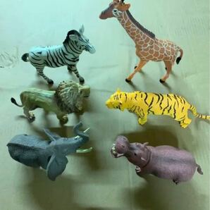 玩具　おもちゃ　野生動物プラモデル　模型　6点セット