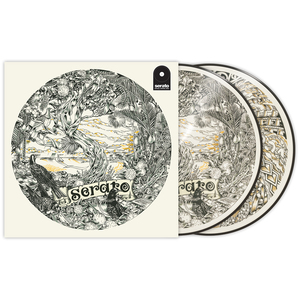 Serato Control Vinyl 12" Dan Tippett Picture Disc 2枚組 セラート コントロールレコード