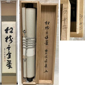 01516 前大徳寺 福本積應 作 「松樹千年翠」掛軸（共箱）茶道具（茶掛/紫野）