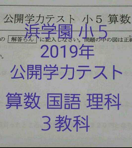 浜学園 小5 2019年 公開学力テスト 3教科