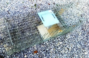 animal .. vessel small animals catcher animal trap trap gauge trap 