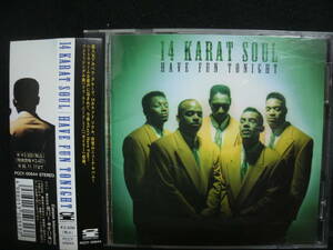 【中古CD】14 KARAT SOUL / 14・カラット・ソウル / have fun tonight / ハヴ・ファン・トゥナイト