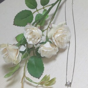 ★プラチナ6本爪 一粒ダイヤモンドネックレス