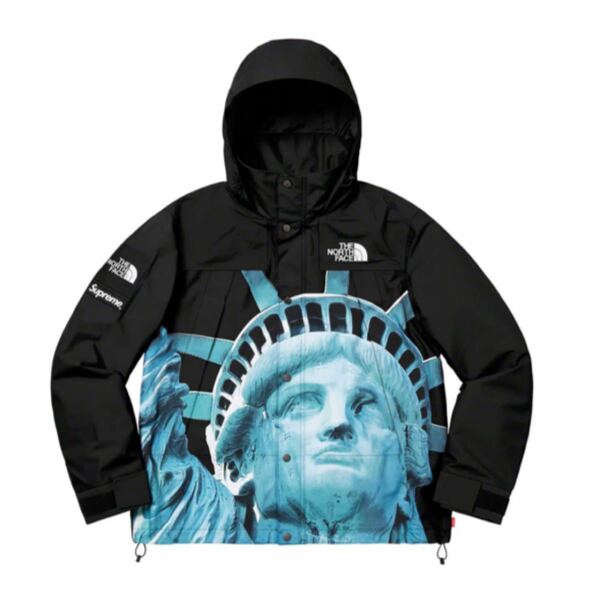 Supreme / The North Face Statue of Liberty Mountain Jacket 