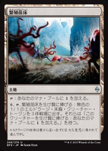 MTG ■土地/日本語版■ 《繁殖苗床/Spawning Bed》戦乱のゼンディカー BFZ