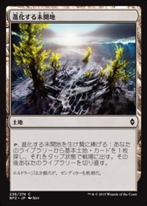 MTG ■土地/日本語版■ 《進化する未開地/Evolving Wilds》戦乱のゼンディカー BFZ