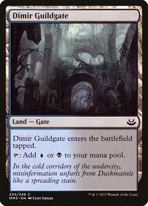 MTG ■土地/英語版■ 《ディミーアのギルド門/Dimir Guildgate》モダンマスターズ2017 MM3