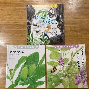 ☆かがくのとも　副音館　3冊セット★虫シリーズ