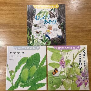 ☆かがくのとも 副音館 3冊セット★虫シリーズ