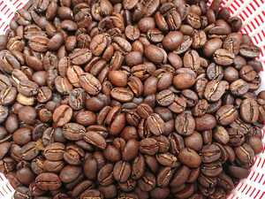 タンザニア AA 自家焙煎 200ｇ シティロースト 受注後に焙煎 コーヒー豆 