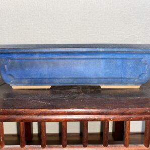 盆栽鉢 長方 生子 青 瑠璃 釉 小品盆栽 多肉植物 山野草 草花 花 雑木 園芸 ガーデニング 盆栽 窓入 鉢 植木鉢