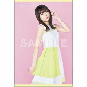 ★即決★ 水瀬いのり Inori Minase LIVE TOUR HELLO HORIZON BD ソフマップ・アニメガ特典 限定 ★B2サイズタペストリー★★新品未開封★