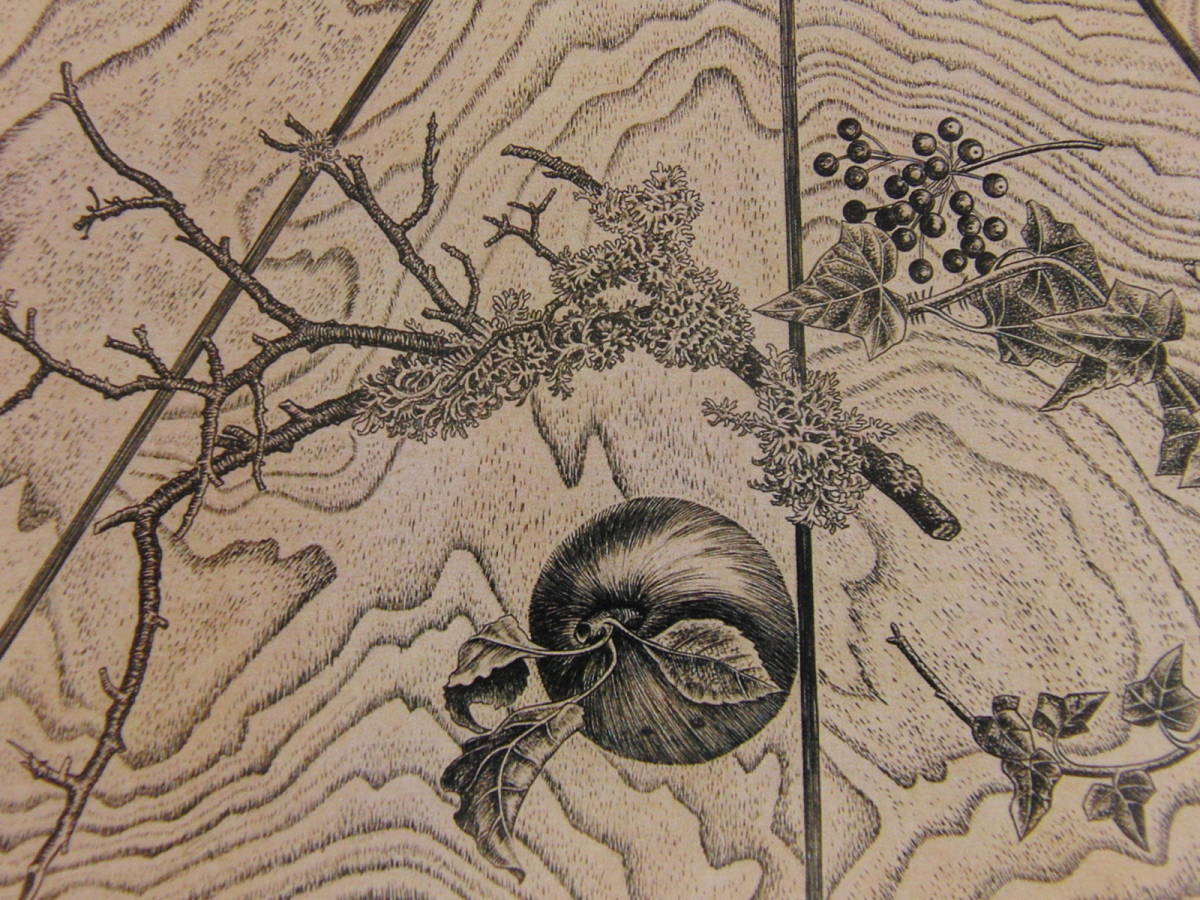 吉原慎介、【卓上の花】、希少な額装用画集より、新品額装付、状態良好