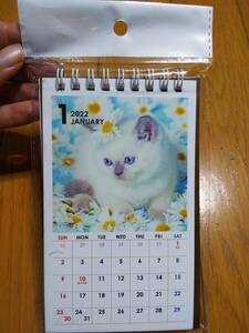 2022年 かわいい 猫ちゃん ねこ 子猫 ネコ 卓上カレンダー タテ型 新品