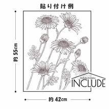 ウォールステッカー ウォールシール マーガレット 秘密の恋 信頼 鉛筆画 コスモス 秋桜 キク 菊 花びら 大きな花 花が好き_画像3