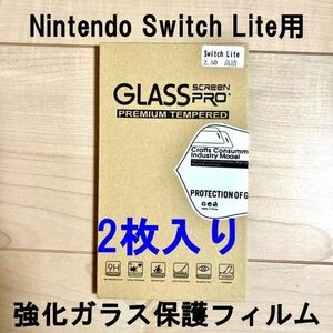 2枚セット 任天堂 Nintendo スイッチ Switch 保護フィルム Lite 画面保護シート 強化ガラス 最強硬度9H 指紋防止 気泡レス