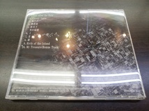 CD / RELATIONSHIP / Satoru Yoshino　吉野悟 / 『D29』 / 中古_画像2