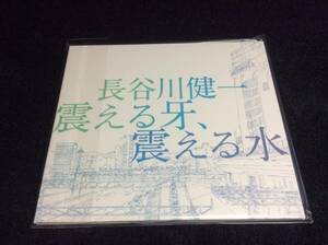 CD 長谷川健一 震える牙 震える水 中古 美品 新品同様