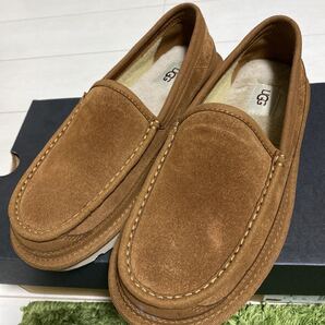UGG メンズ DEX