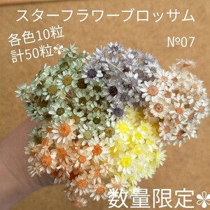 ハーバリウムボールペン レジン アクセサリー 花材セット 気まぐれ素材 №07