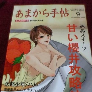 嵐/苺屋毒ガエル・欠陥少年「あまから手帳」潤翔 JS　同人誌