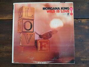 LP　MORGANA KING / WILD IS LOVE