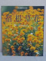 別冊NHK趣味の園芸 毎年花咲く宿根草花 ★ 日本放送出版協会 ◆ 育て方 四季おりおりに咲く宿根草花を寄せ植えした庭づくりの楽しみ方 ◎_画像1