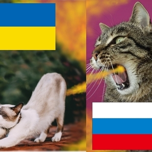 ; ロシアvsウクライナ jn447 A4プリント アート ねこ ネコ 猫 ゼレンスキー プーチン Ukraine Russia Zelensky putin funny cat Art