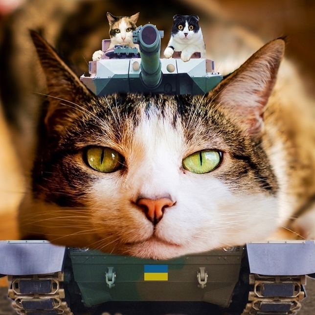 ; jp449 のせ猫戦車 ウクライナ Ver. A4プリント アート 現代美術 猫 載せ猫 ねこ戦車 のせネコ戦車 Ukraine funny cat picture Art, 美術品, 絵画, グラフィック