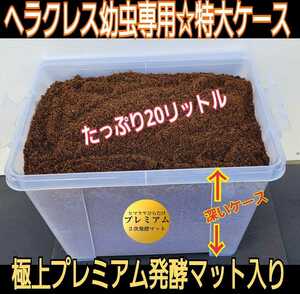 カブトムシ幼虫飼育セット☆大型ケース+特選プレミアム発酵マット20L入り☆外産・国産OK！デカクなります！コバエ防止の特殊フィルター付き