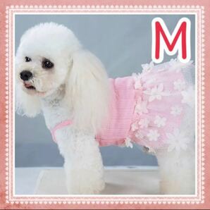 ドッグウェア　犬服　犬の服　ペット用品　ペット服　ドッググッズ　犬グッズ　犬用品　ワンピース　Mサイズ　小型犬　犬　猫