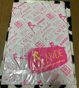 山下智久☆A NUDE☆ツアーパンフレット☆中古