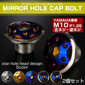 ミラーホールカバーボルト キャップ M10×10mm P1.25 正ネジ 逆ネジ 2個 ヤマハ車用 スターホールヘッド SUS304 シルバー&ブルー TH0191