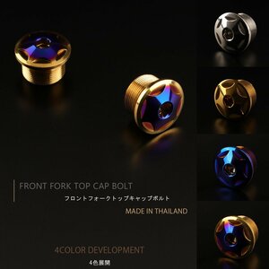 汎用 フロントフォーク トップ キャップ スターヘッド ボルト 2個セット M20×10mm ピッチ1.0 SUS304 ステンレス ゴールド 焼チタン TH0117