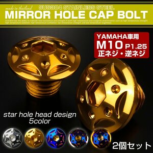 ミラーホールカバーボルト キャップ M10×10mm P1.25 正ネジ 逆ネジ 2個セット ヤマハ車用 スターホールヘッド SUS304 ゴールド TH0184