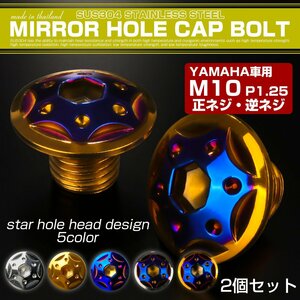 ミラーホールカバーボルト キャップ M10×10mm P1.25 正ネジ 逆ネジ 2個 ヤマハ車用 スターホールヘッド SUS304 ゴールド&ブルー TH0192