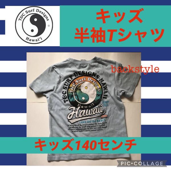 タウンアンドカントリー T&C 半袖 Tシャツ 子供 キッズ 男児 マリン シャツ ジュニア ハワイ サーフィン ボーイズ 男子