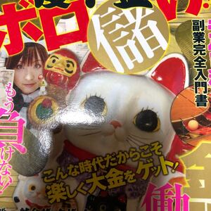 THE一獲千金ボロ儲け!! ラクして稼ぐ副業完全入門書 一発逆転の錬金術 DIA Collection/社会文化