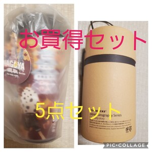 スタバ タンブラー ステンレスボトル 地域限定 他